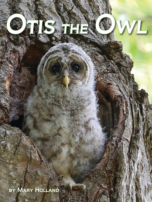 Title details for Otis the Owl by Mary Holland - Available
